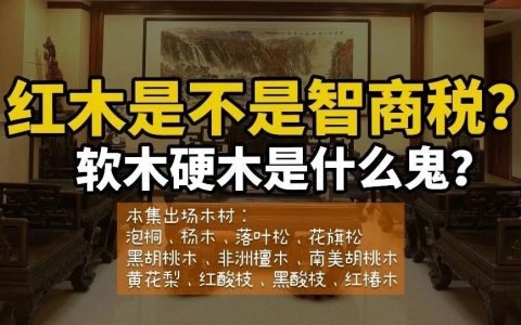 不到5000的紅木沙發(fā)，靠譜嗎？哪種木材性價比更高？買家具，奇怪的知識又增加了02